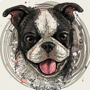 Meet your Posher, Curtis